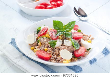 Cold salad of farro with mozzarella tomato and tuna