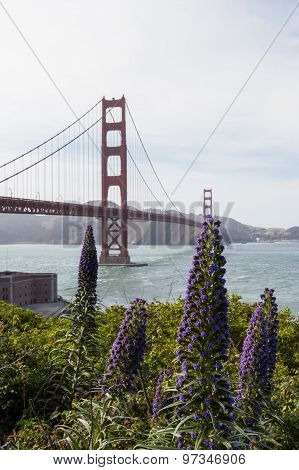 Golden Gate Bridge