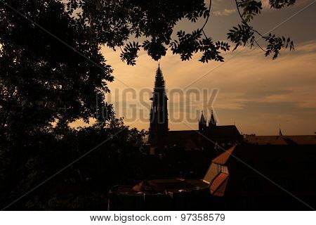 EUROPE GERMANY BLACKFOREST FREIBURG