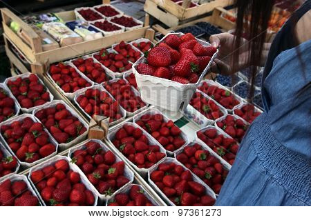 GERMANY MARKET FRUITS