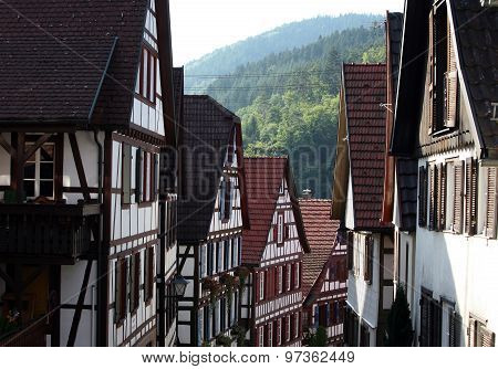 EUROPE GERMANY BLACK FOREST