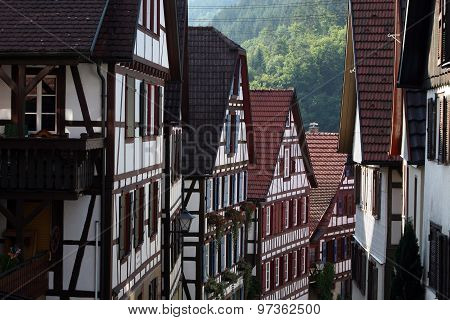 EUROPE GERMANY BLACKFOREST