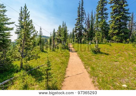 Beautiful Mountain Trail. Blackwall Peak Trail at Manning Park in British Columbia. Canada.