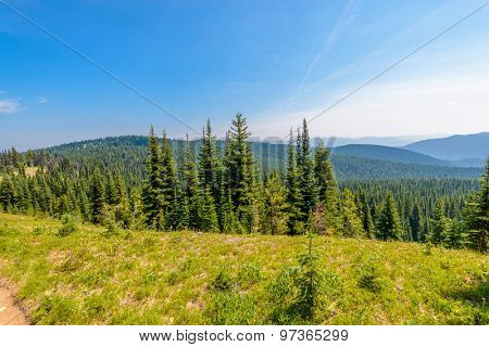 Beautiful Mountain Trail. Blackwall Peak Trail at Manning Park in British Columbia. Canada.