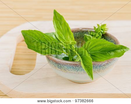 Spa Essential Oil - Natural Spas Ingredients For Aroma Aromatherapy.