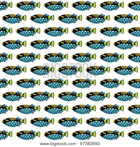 Clown Triggerfish Pattern