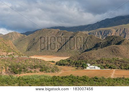 Early morning farm scene in the Matjiesvlei Valley with the Swartberg (black mountain) in the back covered with clouds