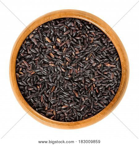 Organic black rice in wooden bowl. Also known as purple rice or pearl black. Oryza sativa. Rare Chinese rice, highest in protein. Isolated macro food photo close up from above on white background.