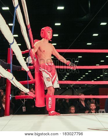 St. Petersburg Russia - 15 April, A fighter in the corner of the ring,15 April, 2017.
International Motor Show IMIS-2017 in Expoforurum.
Fights without rules in the room in the ring.