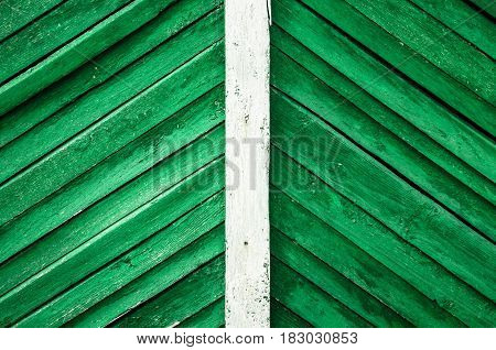 Green wood background texture. Old rural wooden fence background with white line in the middle.