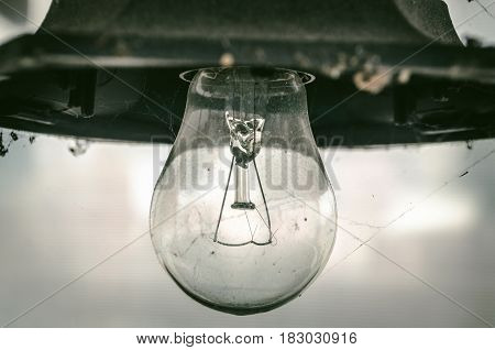 Dusty old bulb in cobweb on the ceiling. No new ideas concept background.