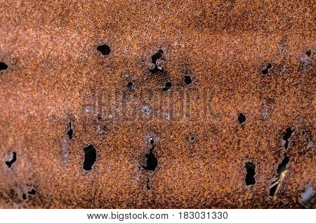 Aged rusty metal in the holes background texture.