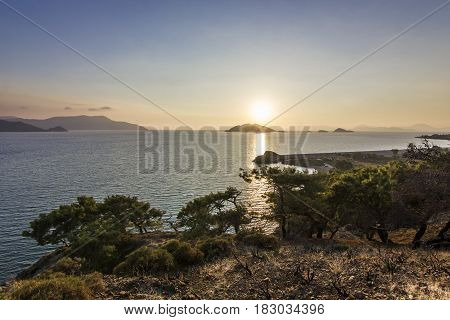 sun shining through leaves of green tree with blue sea on background at sunset