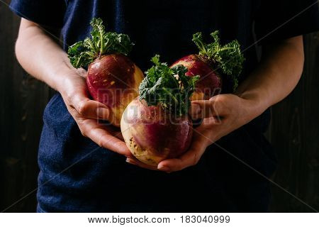 Organic Fresh Harvested Vegetables. Farmer's Hands Holding Fresh Swede, Closeup