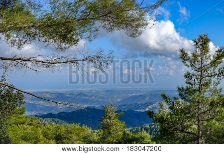 View from the top of Troodos mountain through trees. Springtime shot on bright sunny day with lovely clouds