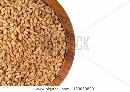 Wheat Grain In Bowl