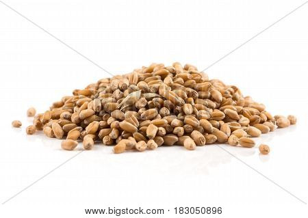 Wheat Grain On White