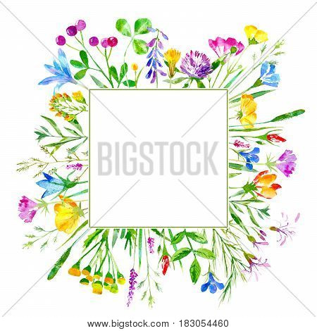 Floral frame of wild flowers and herbs on a white background.  Buttercup, cornflower, clover, bluebell, forget-me-not vetch timothy grass, lobelia, snowdrop flowers. Watercolor hand drawn illustration.