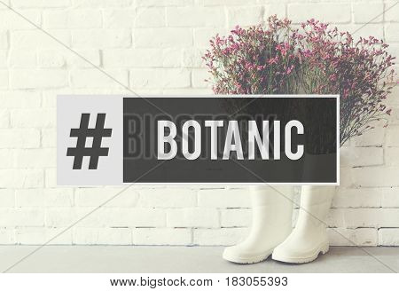 Botanic Flower Bloom Bouquet Fresh