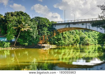 Almendares Park - Havana, Cuba