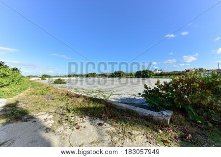Pool In Alamar - Havana, Cuba