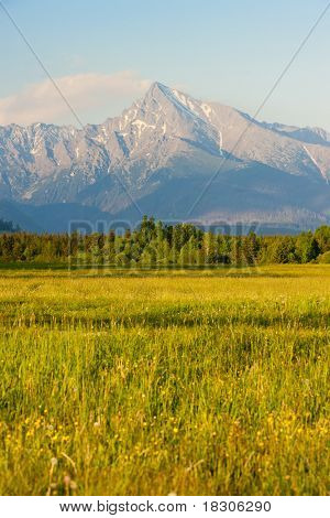 Krivan, Vysoke Tatry (yüksek Tatras), Slovakya