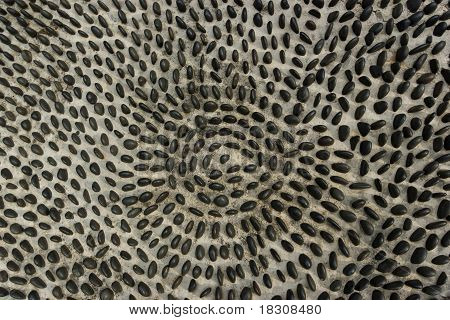 Pebbles In Radial Pattern