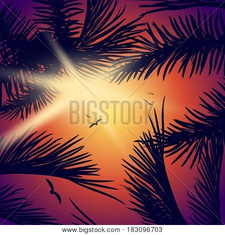 Summer tropical backgrounds set with palms, sky and sunset
