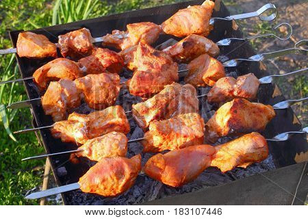 Delicious Juicy Chargrilled Shashlik, Top View