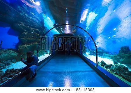 Moscow, Russia - April 16, 2017: Moskvarium Oceanography and Marine Biology Center at Moscow's VDNKh Exhibition Center. Oceanarium tunnel, closeup. Man takes a photo of fish.