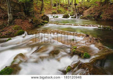 Clear and rapid mountain river in the spring forest. Grza river, Serbia