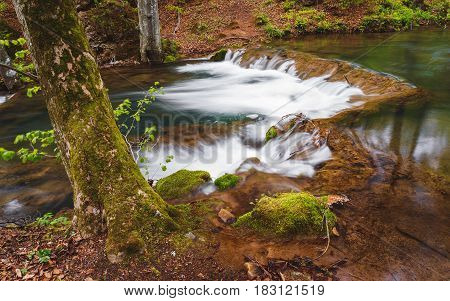 Mountain River In The Springtime. Grza river, East Serbia