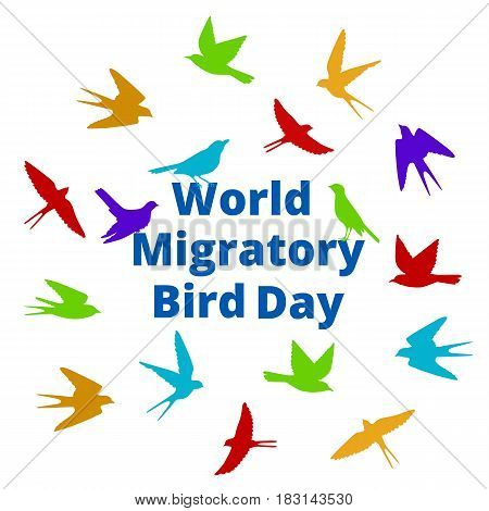World Migratory bird day. Background with colorful birds