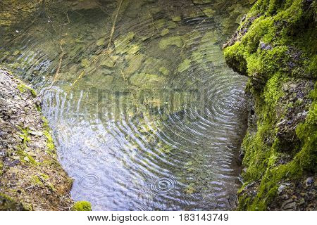 Landscape With River And Stones In Jungle