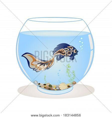 Blue fish swims in the aquarium on a white background. Vector illustration. Square location.