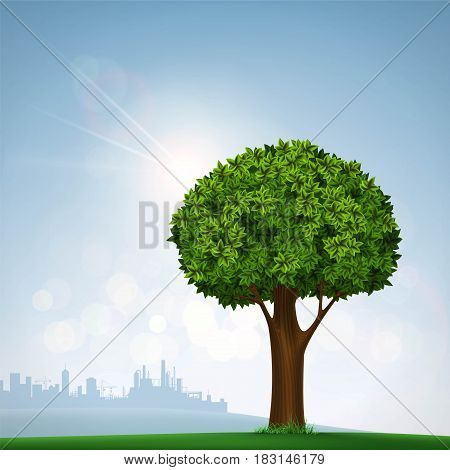 Green tree with leaves. Nature on the background of the urban landscape. Stock vector illustration.