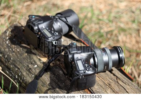 Gomel, Belarus - 12 April 2017: Sony Cameras Are Lying On A Log. Ready To Shoot