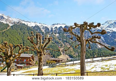 The Red Tram Of Wengen Cableway