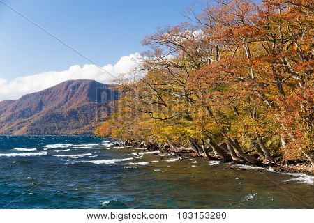 Lake Towada