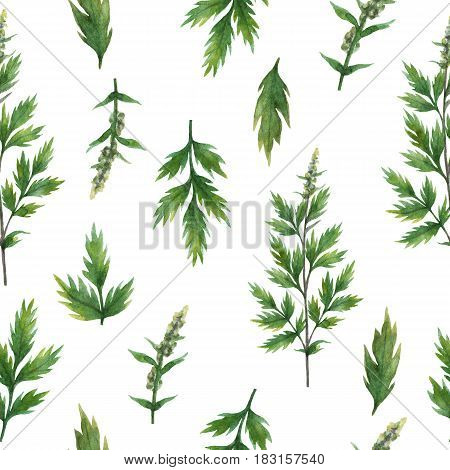 Hand drawn watercolor seamless pattern of Mugwort. Healing Herbs for design of natural food, kitchen, textiles, market, menu.