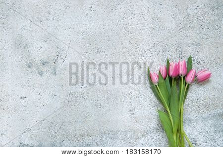 Spring pink tulips with over a shabby chique background