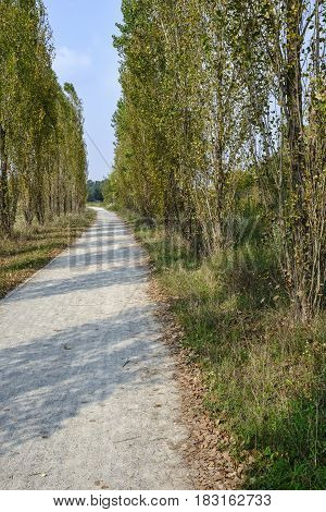 Park of Grugnotorto (Lombardy Italy) between Milan and Brianza in autumn. A path for bicycle and pedestrian
