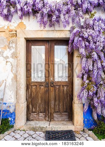 Purple wisteria plant growing around doors of an old house in Portugal.