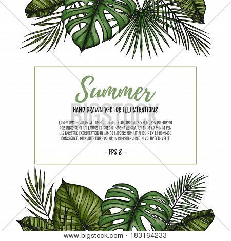 Summer Tropical Postcard Template. Frame With Palm Leaves (monstera, Areca Palm, Fan Palm, Banana Le
