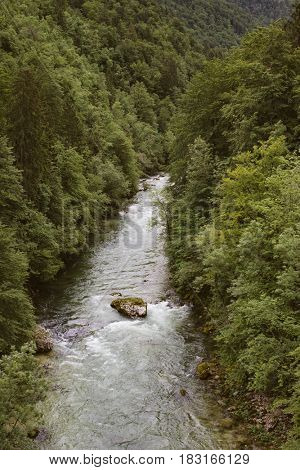 Mountain river cross forest. Savica, Slovenia