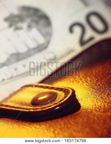 Purse on a background of a banknote of 20 dollars