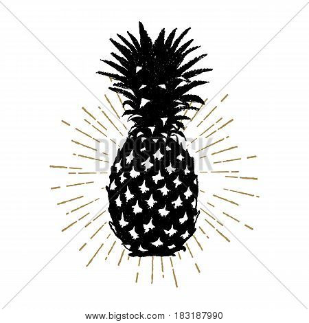 Hand drawn icon with textured pineapple vector illustration.