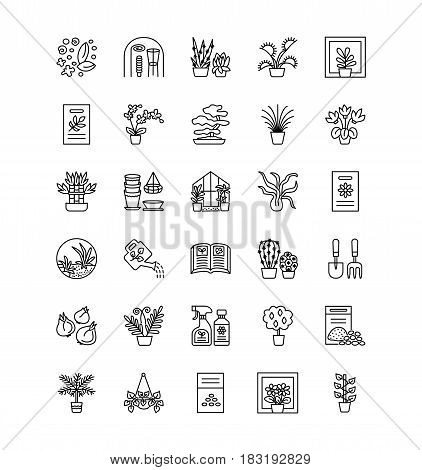Vector line icons with house plants and flowers. Indoor flowering and green foliage plants. Gardening tools and accessories. Lucky bamboo bonsai fern cactus succulent orchid palm. Elements for interior decoration.