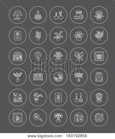 Vector line icons with house plants and flowers. Indoor flowering and green foliage plants. Gardening tools and accessories. Lucky bamboo bonsai fern cactus succulent orchid palm. Elements for interior decoration.