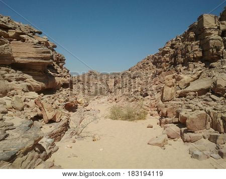 Rocky Mountains in Desert Sands on Hot Sunny Day